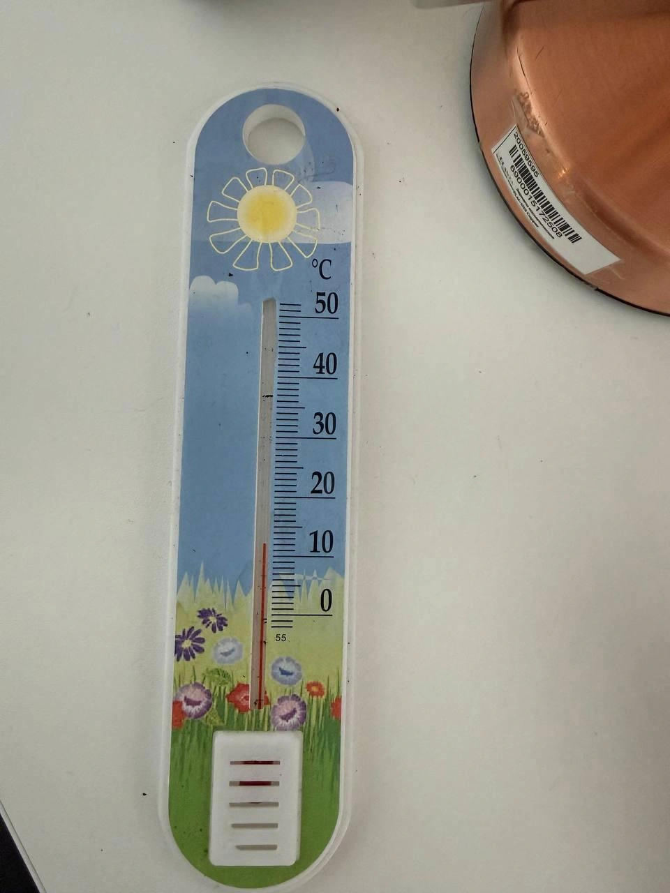 Температура в одной из квартир | Источник: читательница 29.RU