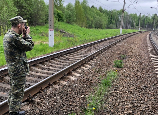 Под Тамбовом двое подростков погибли, попав под поезд по пути на выпускной | ya62.ru