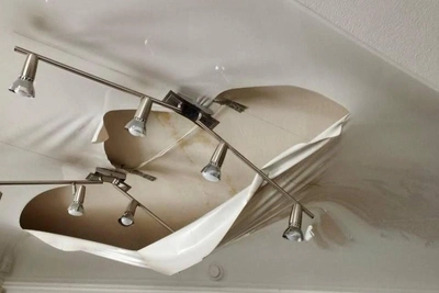 Chelyabinsk Firm Faces Fine Over Parrot Deaths in Flood