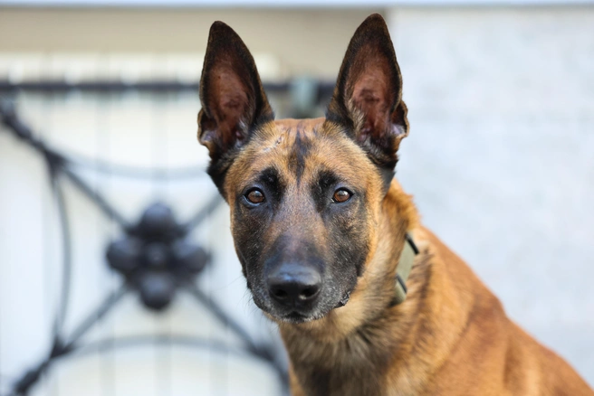 Происшествие случилось 10 сентября | Источник: Валентин Егоршин / FONTANKA.RU