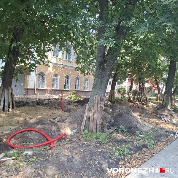 Источник: Алёна Воропаева / Voronezh1.ru