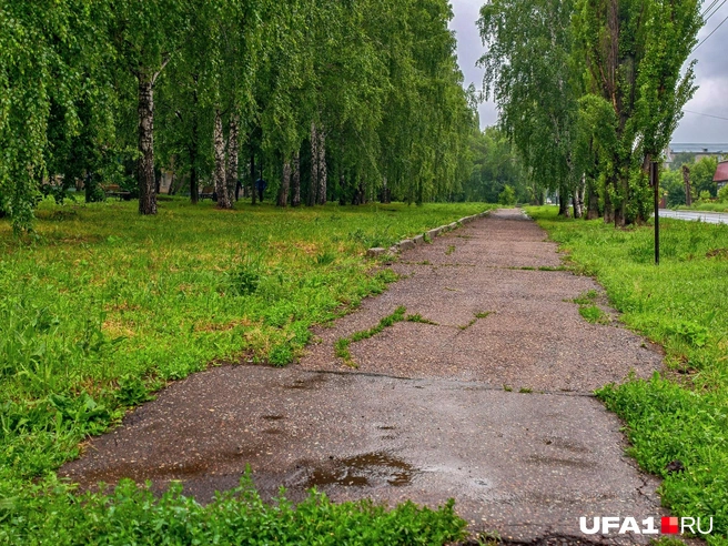 А это тропинка идет в трех метрах от той, ее даже видно за березами слева | Источник: Булат Салихов / UFA1.RU
