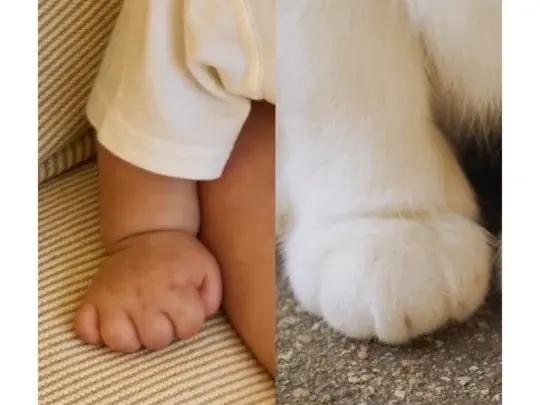 Мамина прелесть: Сон Е Джин сравнила своего сына с котенком на новом фото в соцсетях
