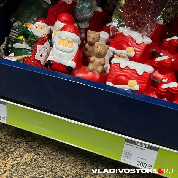 Источник: Елена Буйвол / VLADIVOSTOK1.RU