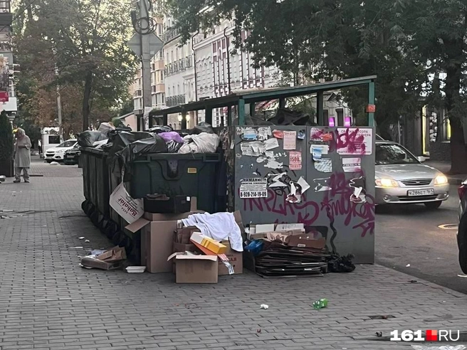 Баки переполнены регулярно, потому что мусор сюда несут и жители, и работники местных кафе и других точек. Это угол Чехова и Суворова | Источник: Эльвира Парфенова
