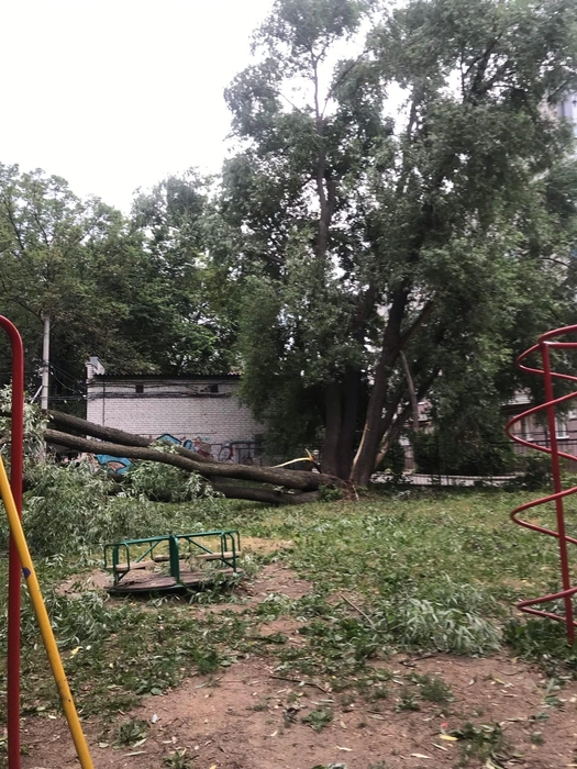 Дерево упало на детскую площадку | Источник: Елена Карнаева