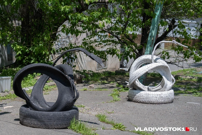 Источник: Елена Буйвол / VLADIVOSTOK1.RU