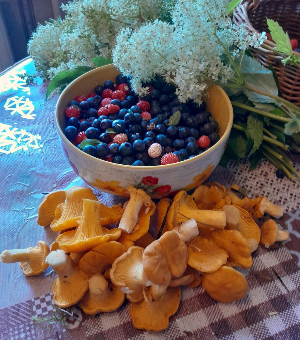 В Атиге открыли грибной сезон | Источник: «Дары лесов Урала» / Vk.com