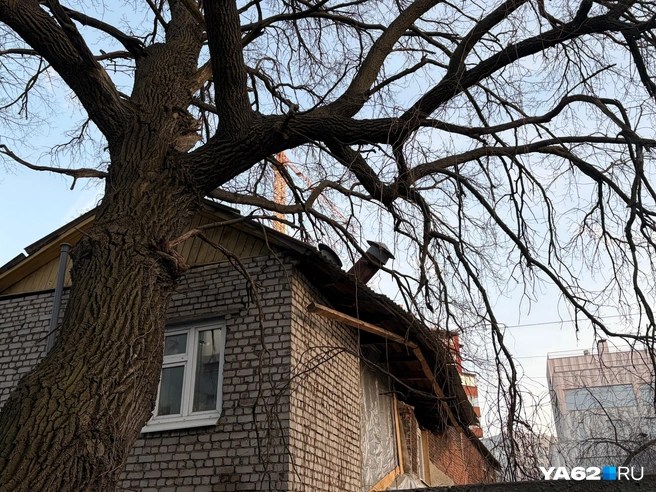 Так сейчас выглядит место обрушения стены | Источник: Дарья Ходосевич / YA62.RU