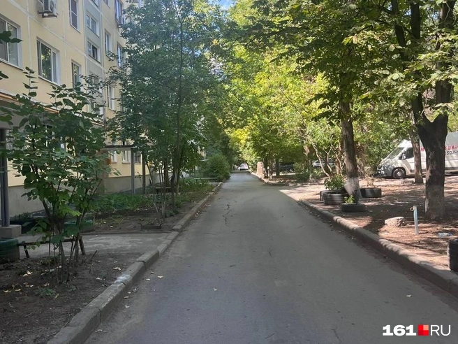 Это Западный район. Для пешеходов тут вариантов нет | Источник: Эльвира Парфенова