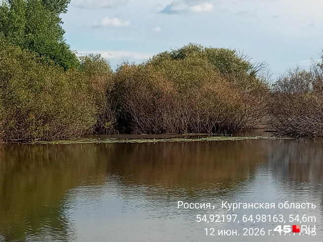 Рядом с водопадом&nbsp;— заводь с кубышками | Источник: Анна Сарапульцева / 45.RU