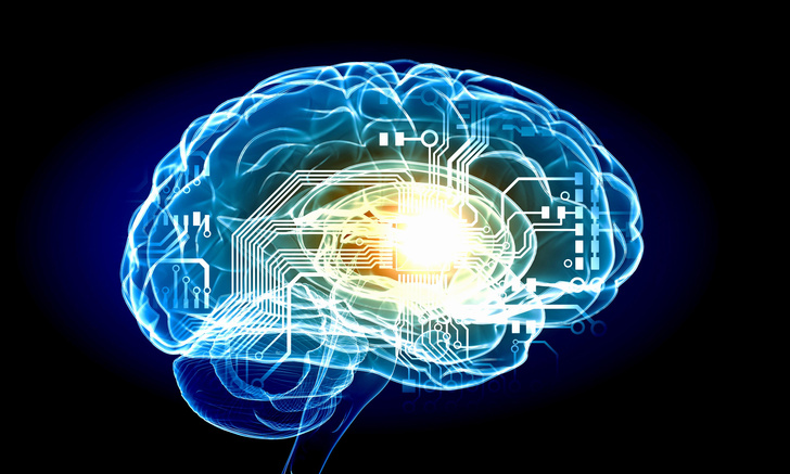 Какой объем памяти у человеческого мозга и может ли она закончиться?