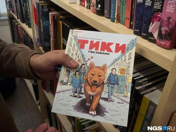 Комиксы встречаются очень разные | Источник: Алена Золотухина / NGS.RU