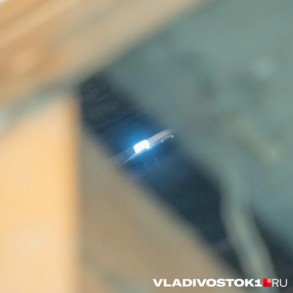 Источник: Елена Буйвол / VLADIVOSTOK1.RU
