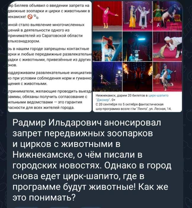 Скриншот из официального канала администрации Нижнекамска | Источник: «Прессек, ответь!» / T.me