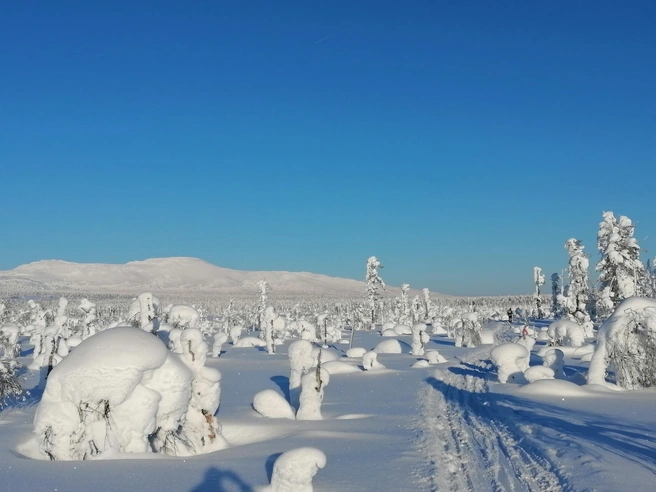 Ослянка — пологая гора, опасности резких склонов здесь нет | Источник: Андрей Шихов / Vk
