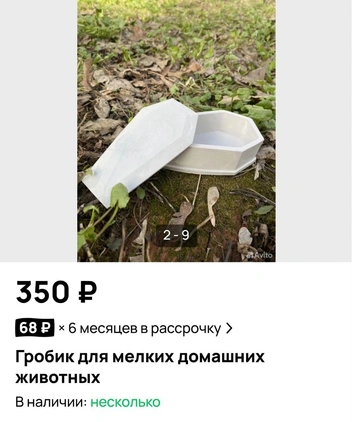 Источник: Avito.ru