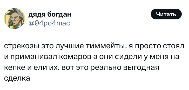 Источник: X (Twitter)