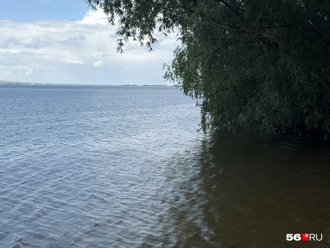 Размер воды&nbsp;— не показатель количества трофейной рыбы | Источник: Николай Сальников / 56.RU