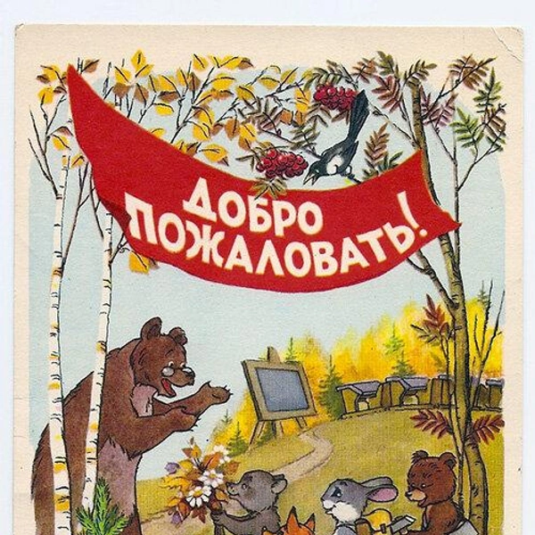 Источник: Соцсети
