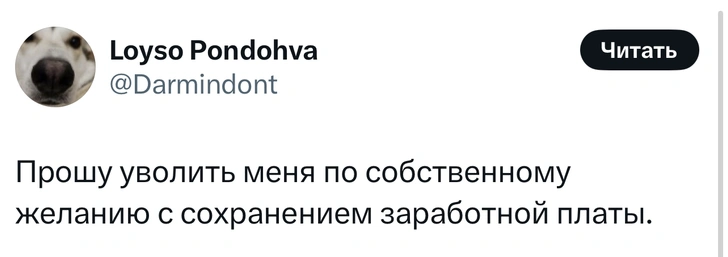 Источник: X (Twitter)