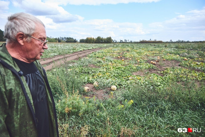 В следующем году под арбузы подготовили большую площадь, чем в этом | Источник: Роман Данилкин / 63.RU