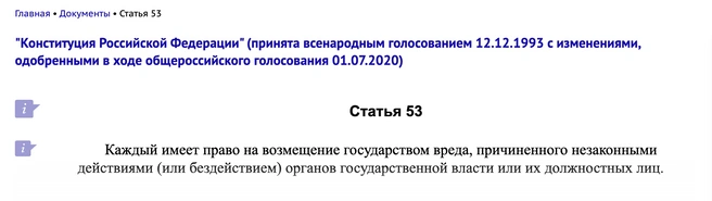 Мышак считает, что нарушена статья Конституции | Источник: consultant.ru