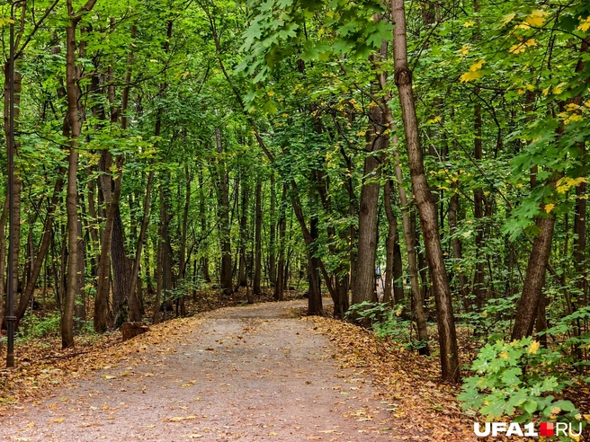 Это, между прочим, тоже часть улицы | Источник: Булат Салихов / UFA1.RU