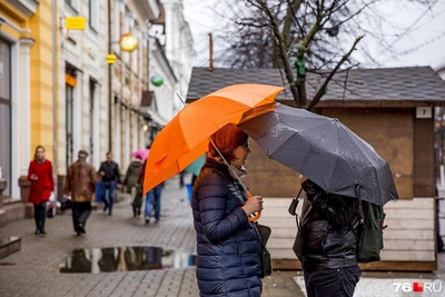 Дожди ожидаются в Ярославской области 30-31 марта