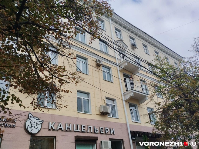 Источник: Дмитрий Волгин / Voronezh1.ru