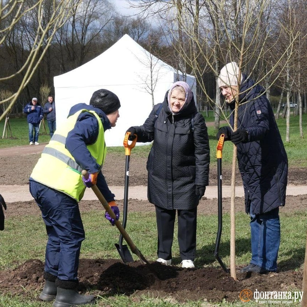 Источник: Анжела Мнацаканян