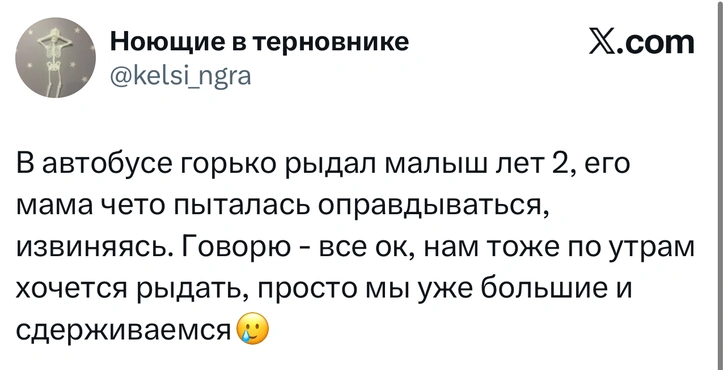 Источник: X (Twitter)