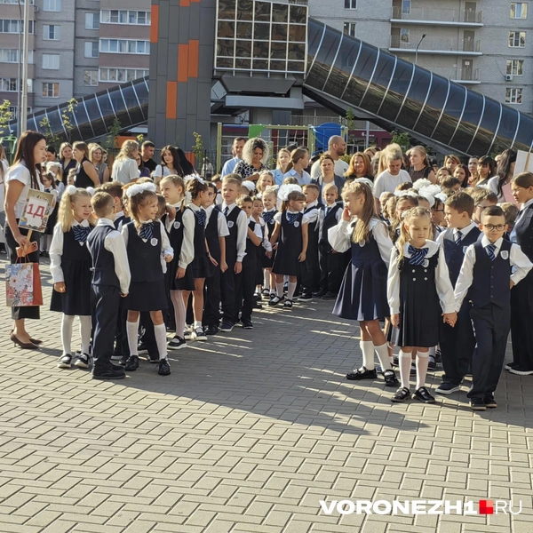 Источник: Андрей Пашинский / Voronezh1.ru
