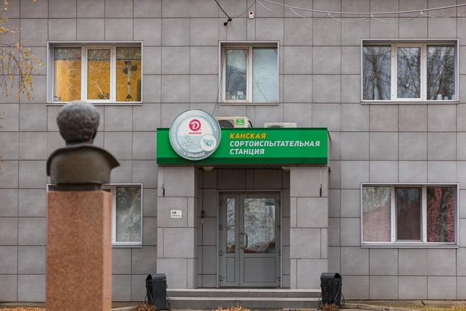 Офис расположен вблизи администрации | Источник: Мария Ленц / NGS24.RU