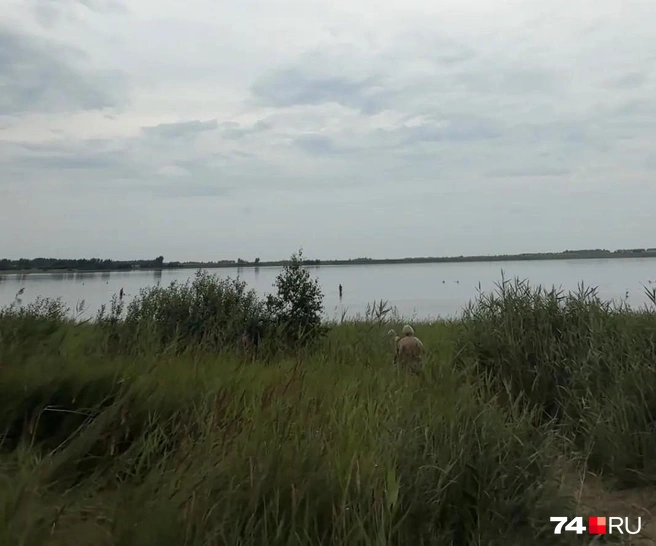 Так выглядит пляж озера Шамеля в Курганской области | Источник: читатель 74.RU
