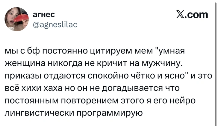 Источник: X (Twitter)