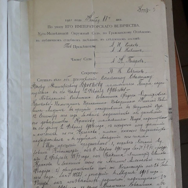 Документы об усыновлении Федором Крюковым мальчика Петра | Источник: Марк Батурлинский / Telegram