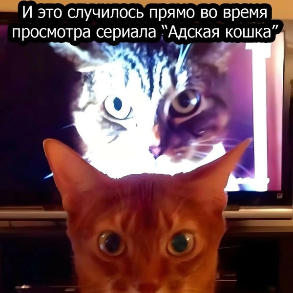 Источник: соцсети