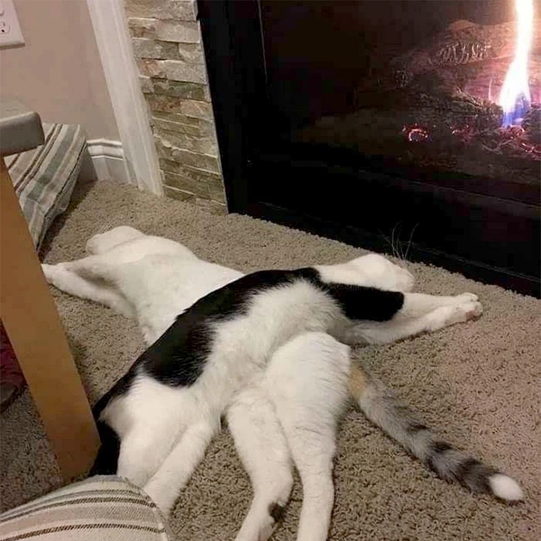 Источник: соцсеть