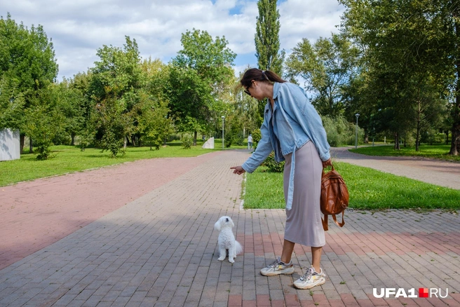 Этот волшебный жест — и Арчи сидит | Источник: Булат Салихов / UFA1.RU