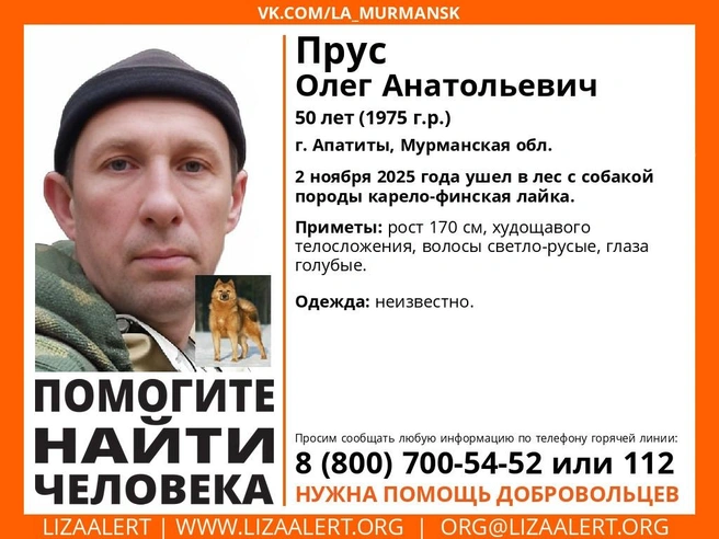 Источник: Поисковый отряд «ЛизаАлерт» Мурманской области / Vk.com