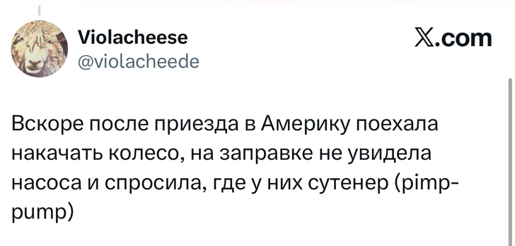Источник: X (Twitter)