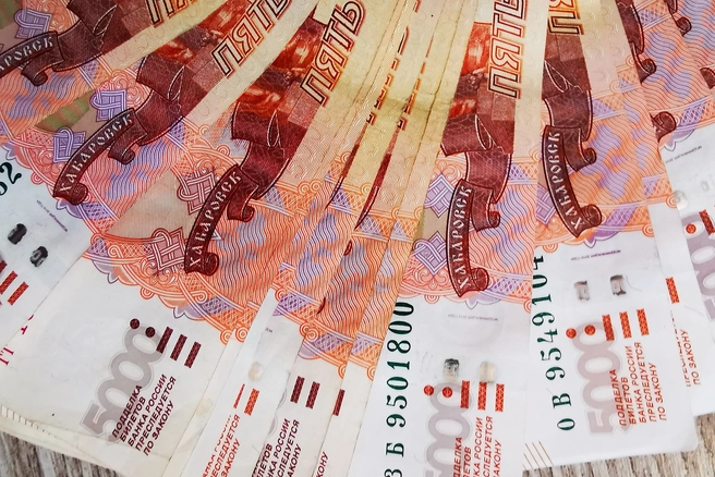 Деньги взысканы в доход РФ | Источник: Евгений Вдовин / 161.RU