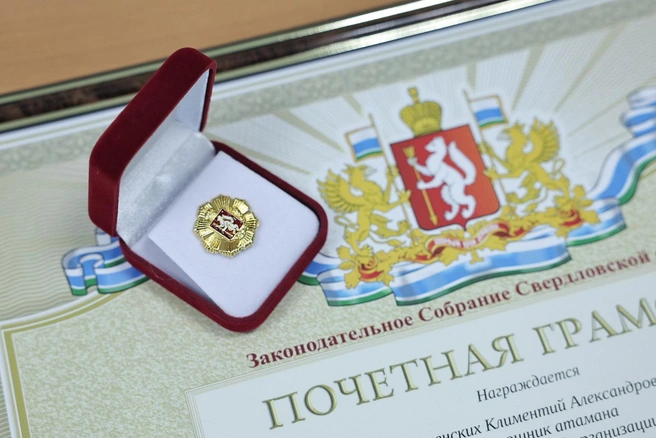 Такой знак вручают с 2021 года | Источник: пресс-служба законодательного собрания Свердловской области