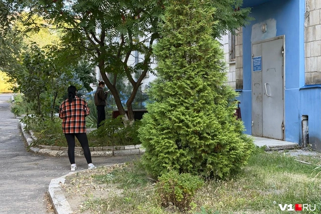 Ждать очереди на улице приятнее, чем в полумраке лестничных пролетов | Источник: Алексей Волхонский / V1.RU