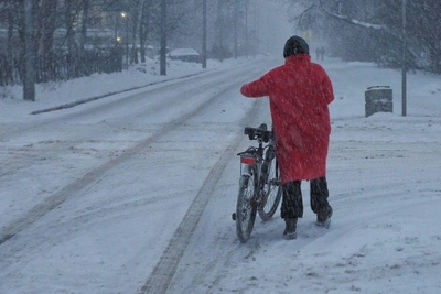 Ветер и осадки в Ленобласти и Карелии, температурные качели в Европейской России