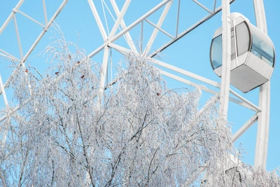 Алтайский край собрал более 175 млн туристического налога