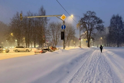 Heavy snowfall causes traffic chaos, airport delays in Moscow