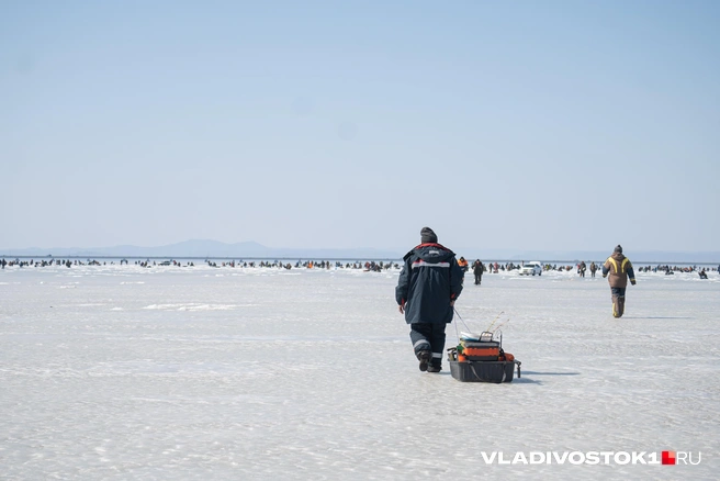 Источник: Елена Буйвол / VLADIVOSTOK1.RU