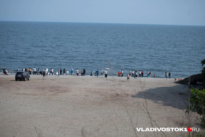 Источник: Елена Буйвол / VLADIVOSTOK1.RU